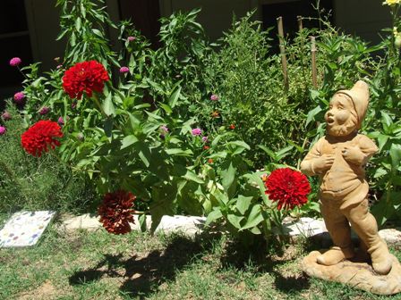 garden-gnome